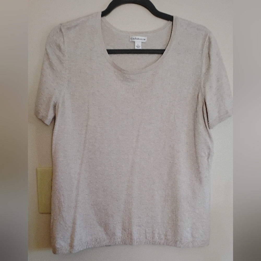 ♥️Beige Sweater Tee (L)